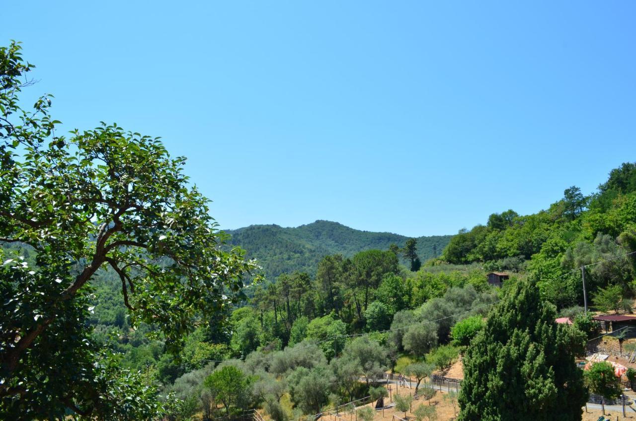 Agriturismo Torsivi Castiglione Chiavarese Exterior foto